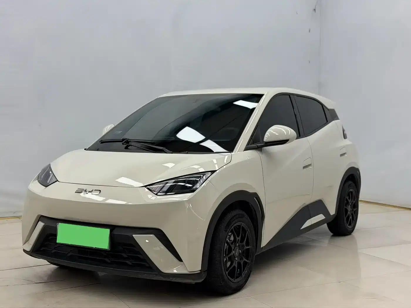 Seagull 2025 305km/h Dynamic Edition — миниатюра 1