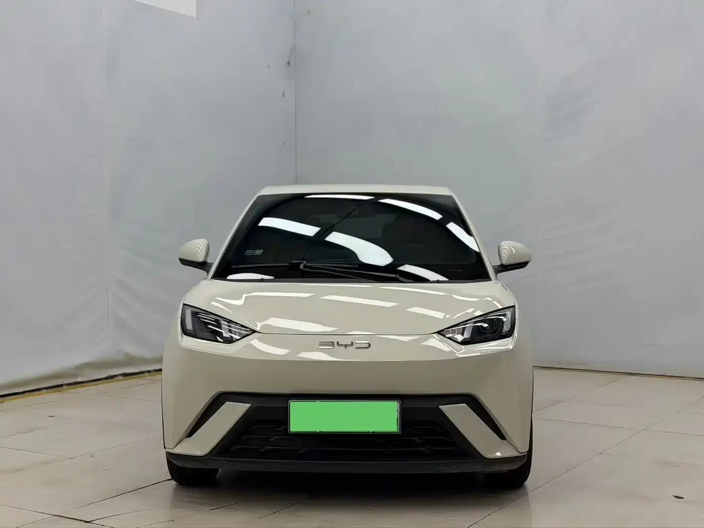 Seagull 2025 305km/h Dynamic Edition — миниатюра 2
