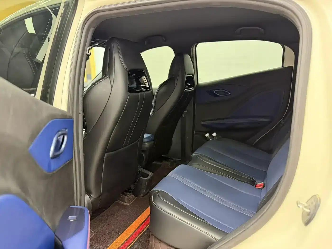 Seagull 2025 305km/h Dynamic Edition — миниатюра 6