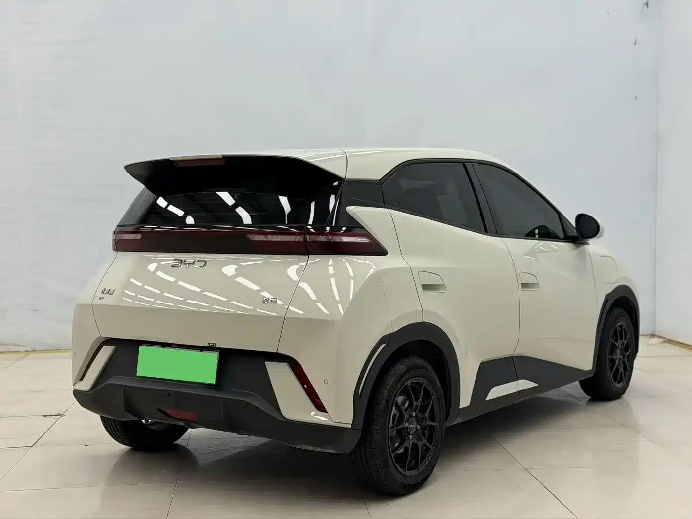 Seagull 2025 305km/h Dynamic Edition — миниатюра 7