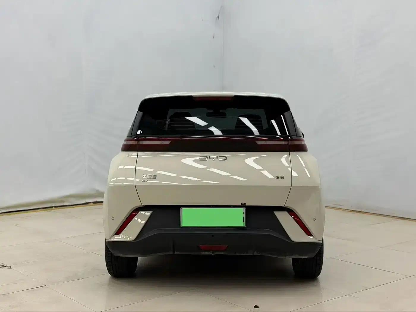 Seagull 2025 305km/h Dynamic Edition — миниатюра 8