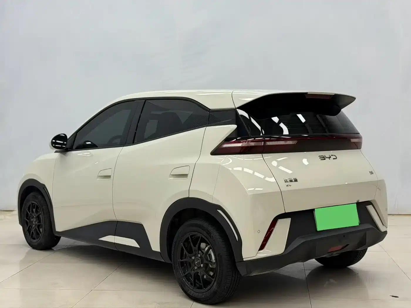 Seagull 2025 305km/h Dynamic Edition — миниатюра 9
