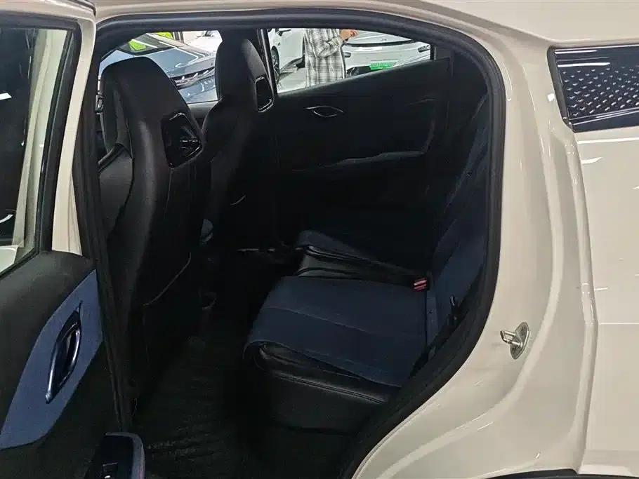 Seagull 2024 Glory Edition 405km/h Flying Edition — миниатюра 11
