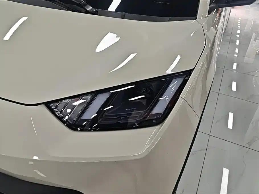Seagull 2024 Glory Edition 405km/h Flying Edition — миниатюра 5