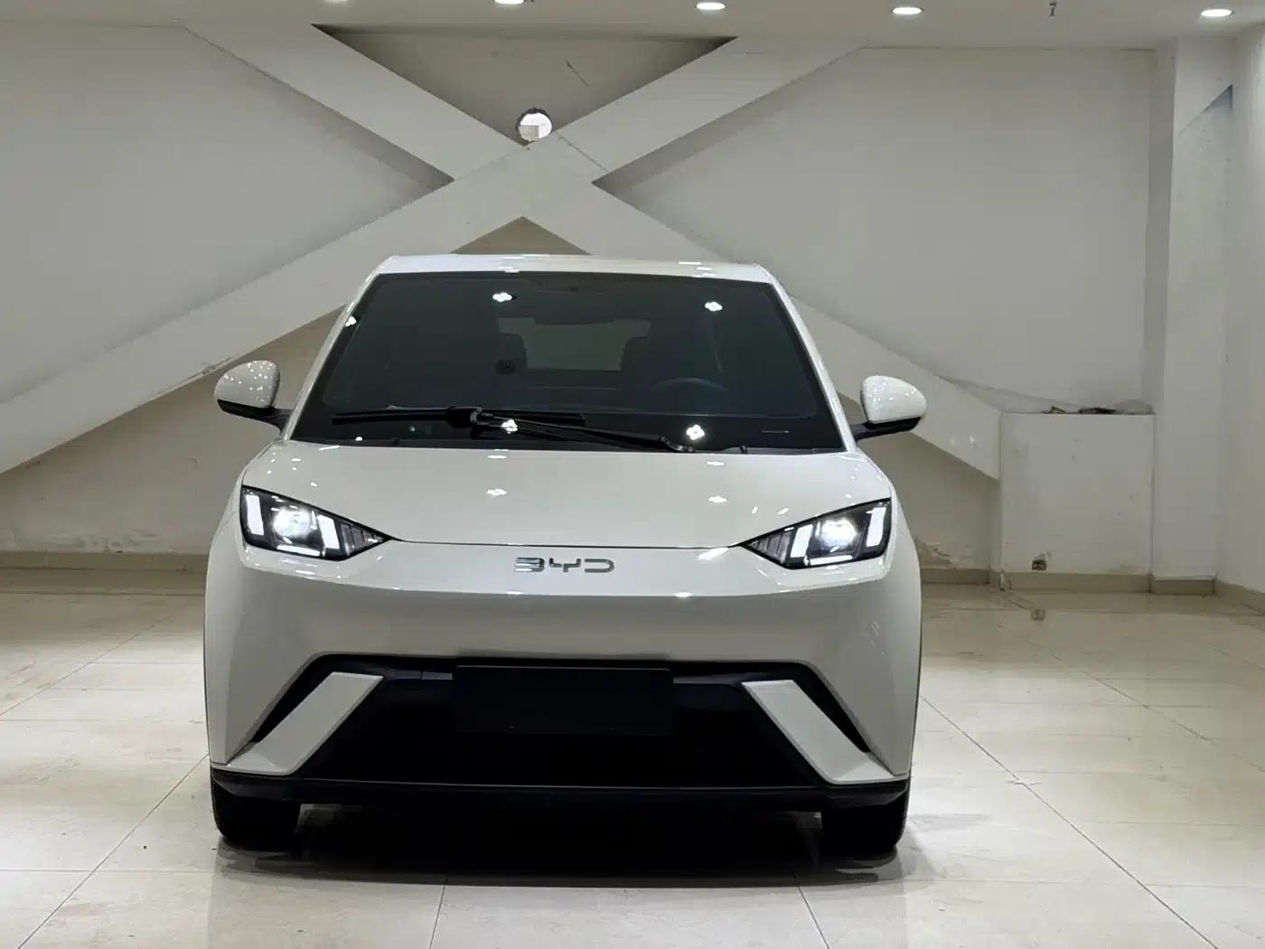 Seagull 2024 Glory Edition 305km Freedom Edition — миниатюра 2