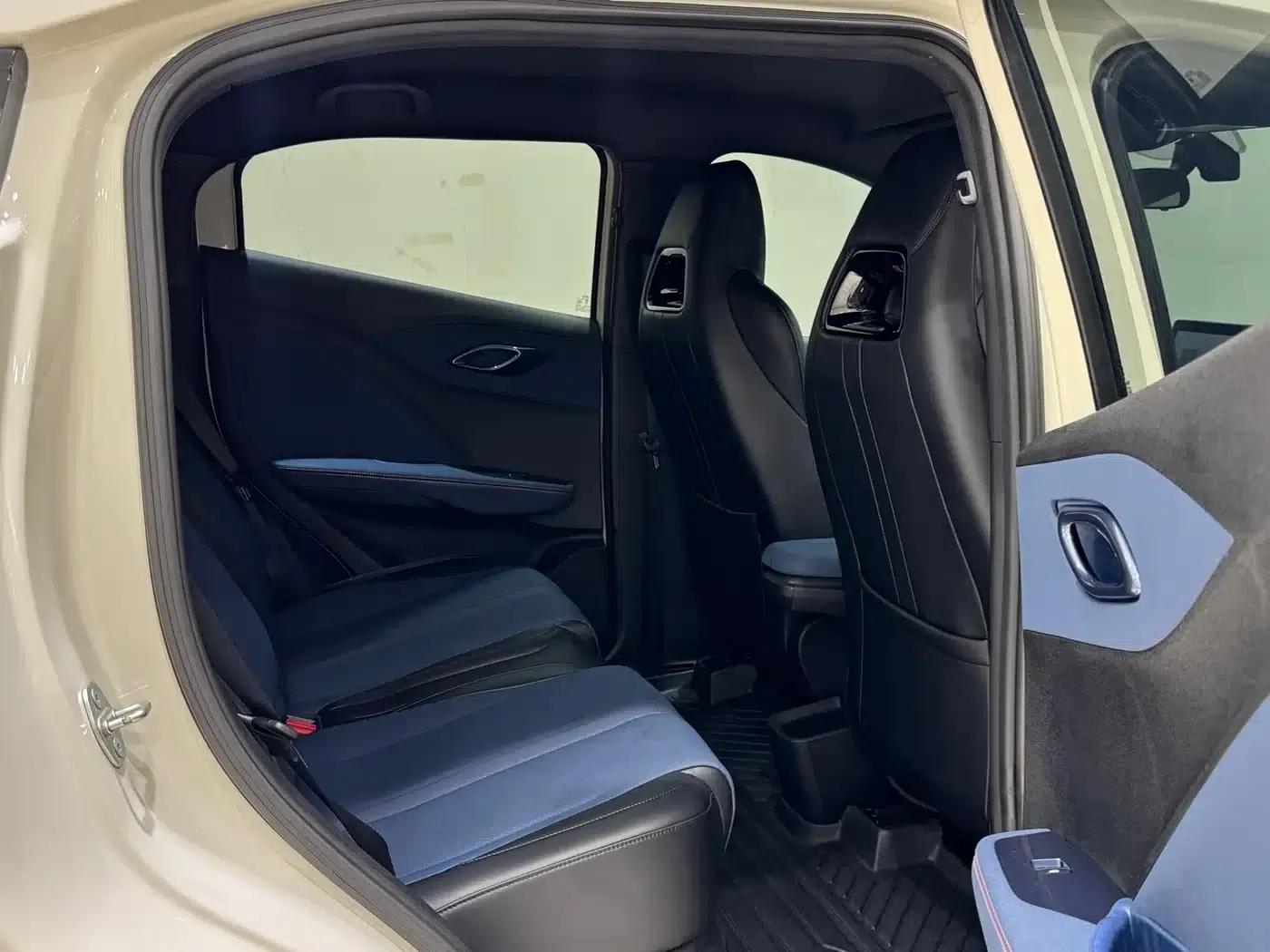 Seagull 2024 Glory Edition 305km Freedom Edition — миниатюра 11