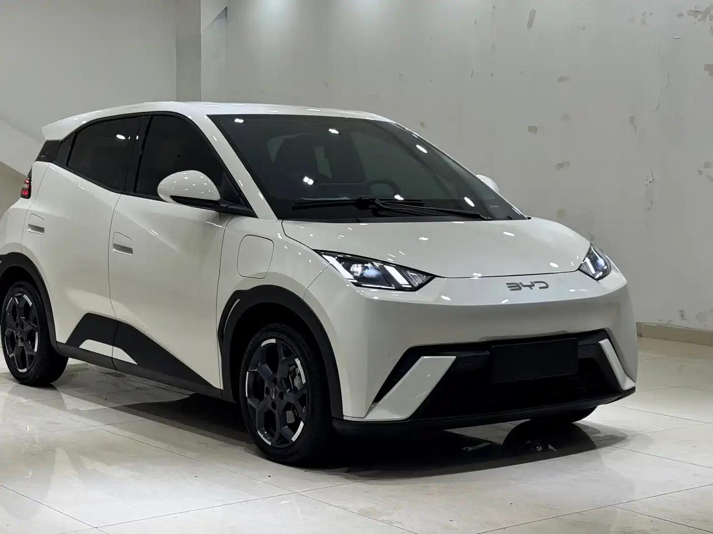Seagull 2024 Glory Edition 305km Freedom Edition — миниатюра 3