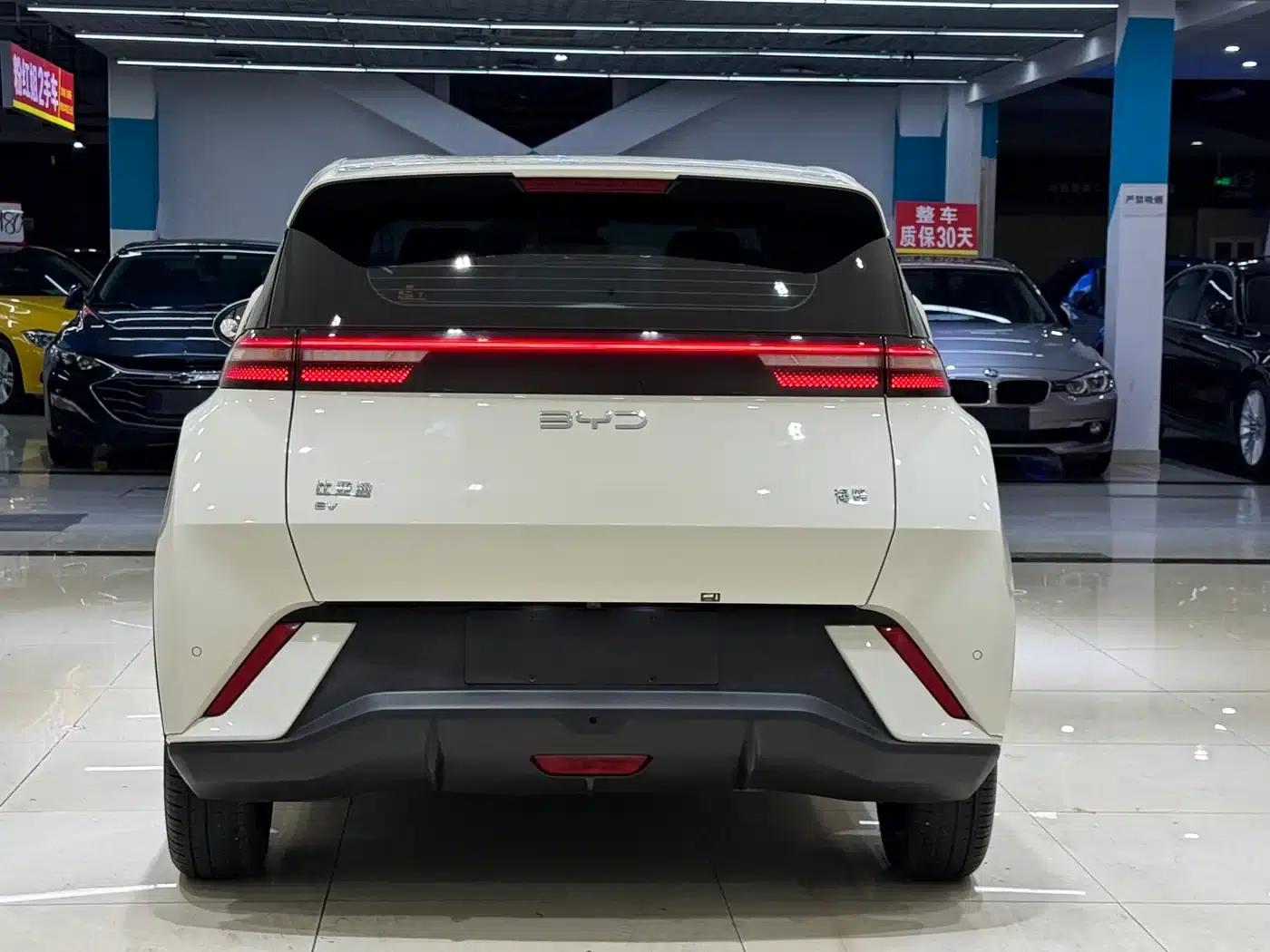 Seagull 2024 Glory Edition 305km Freedom Edition — миниатюра 4