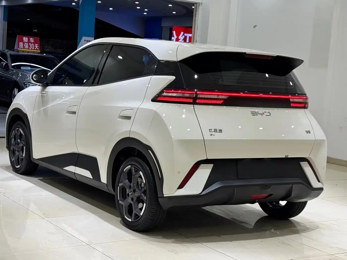 Seagull 2024 Glory Edition 305km Freedom Edition — миниатюра 5