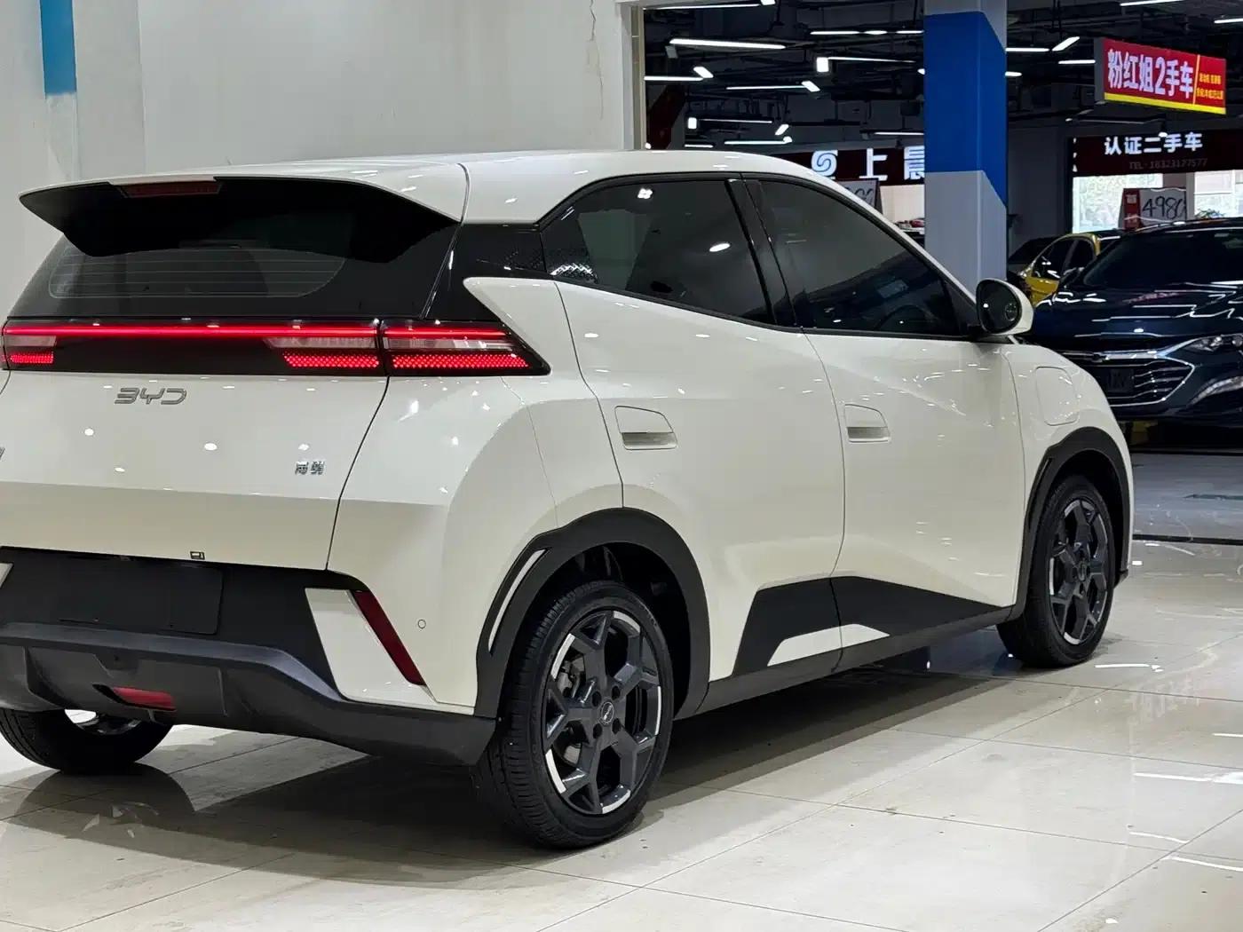 Seagull 2024 Glory Edition 305km Freedom Edition — миниатюра 6