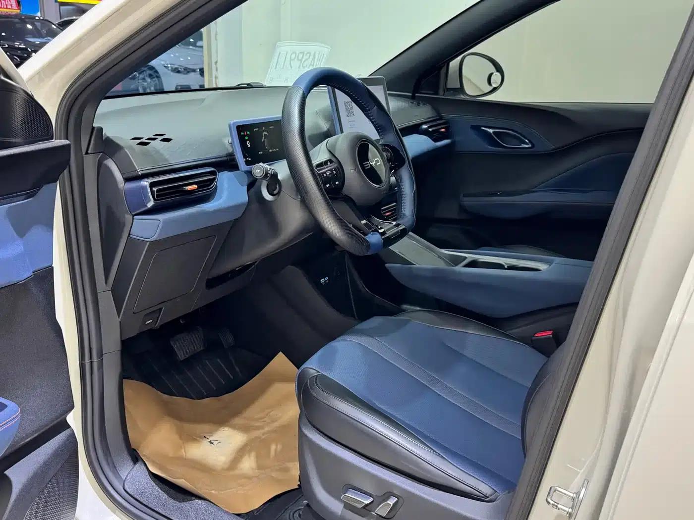Seagull 2024 Glory Edition 305km Freedom Edition — миниатюра 8
