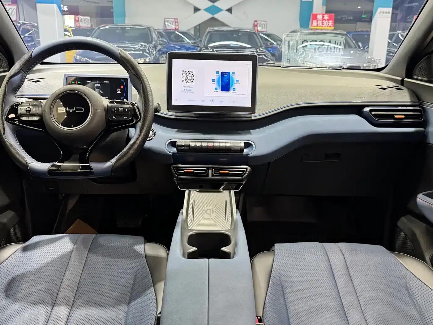 Seagull 2024 Glory Edition 305km Freedom Edition — миниатюра 9