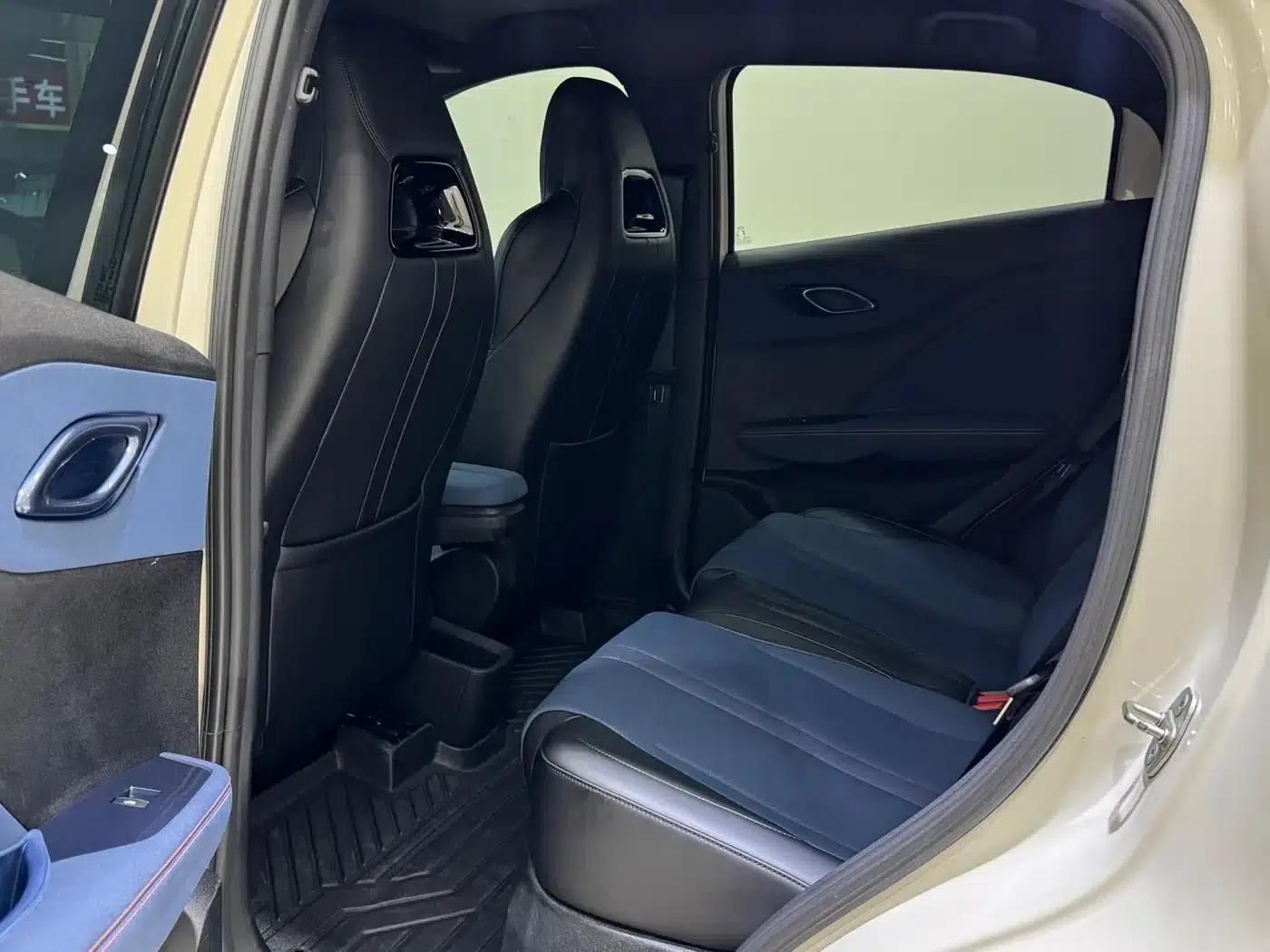 Seagull 2024 Glory Edition 305km Freedom Edition — миниатюра 10