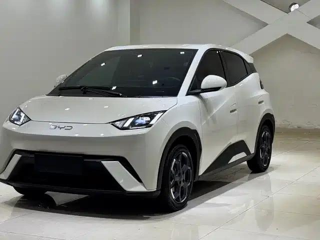 Seagull 2024 Glory Edition 305km Freedom Edition