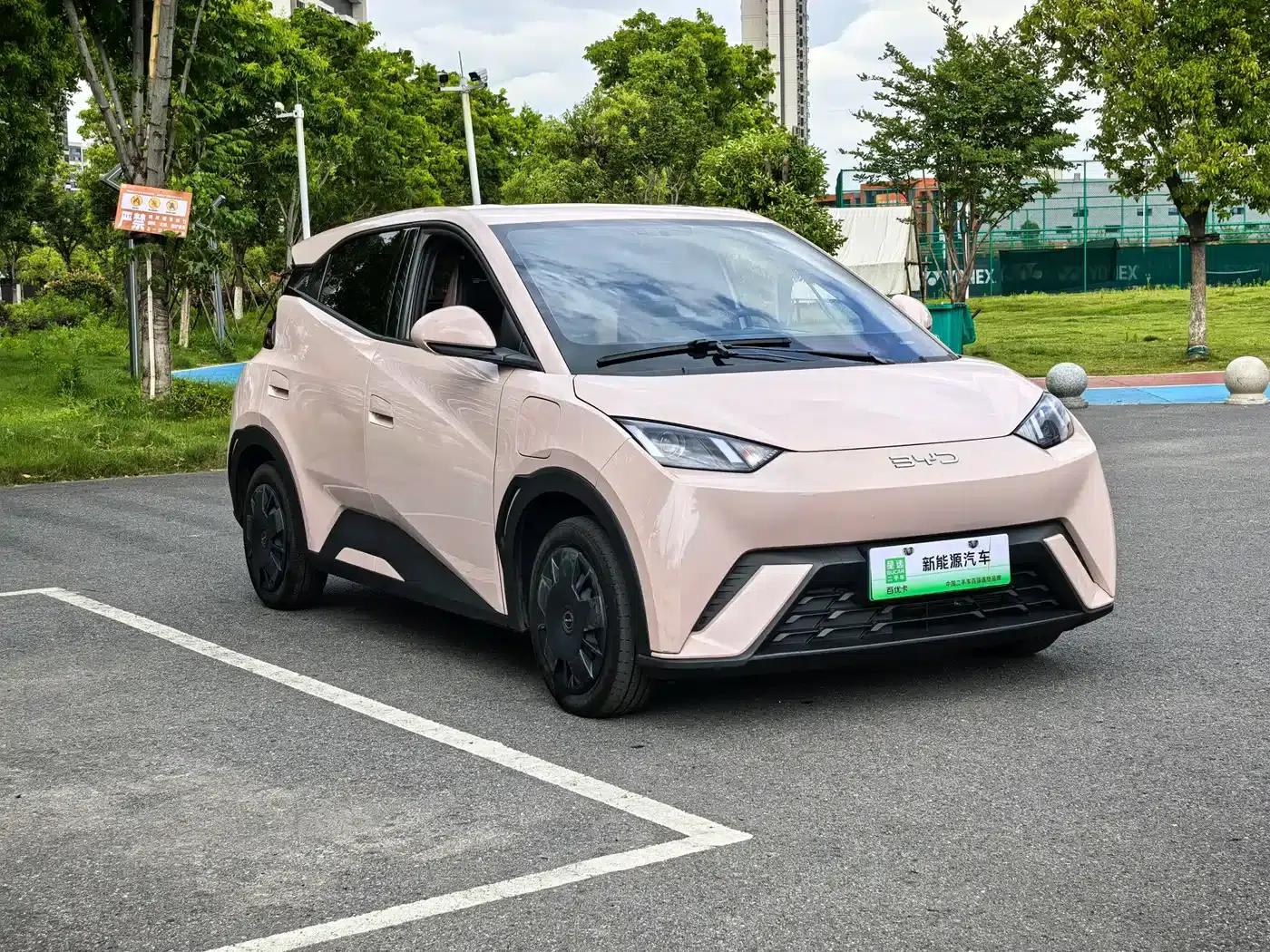 Seagull 2024 Glory Edition 305km/h Vitality Edition — миниатюра 3