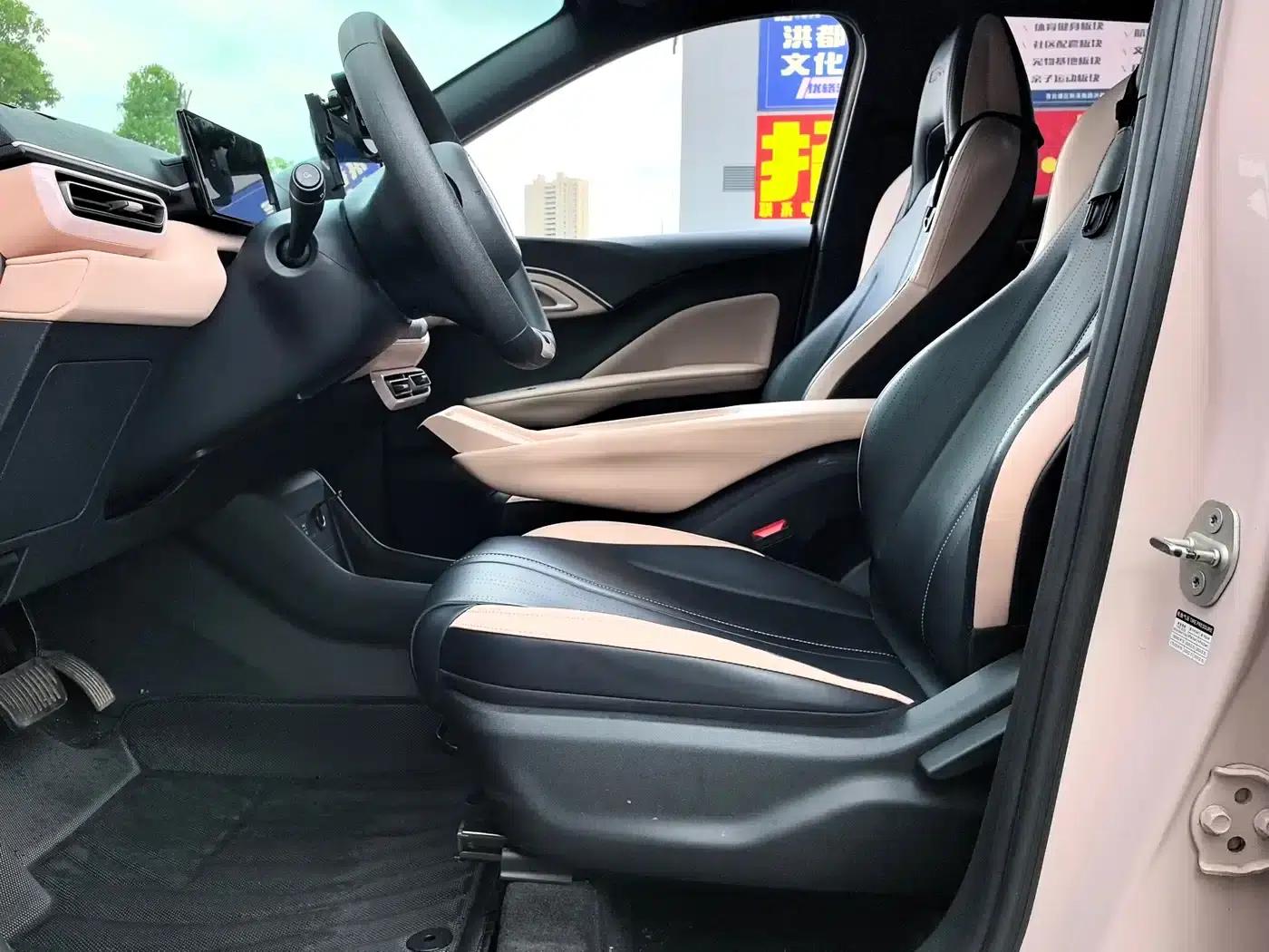 Seagull 2024 Glory Edition 305km/h Vitality Edition — миниатюра 4