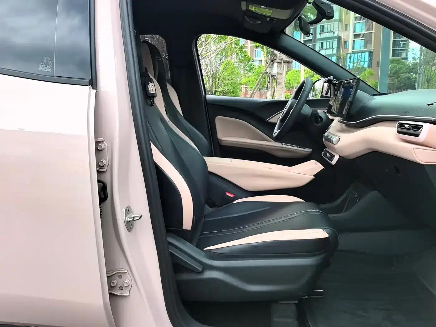 Seagull 2024 Glory Edition 305km/h Vitality Edition — миниатюра 6