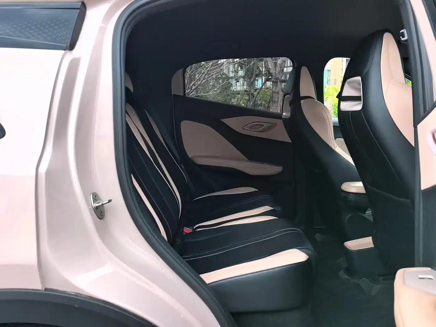 Seagull 2024 Glory Edition 305km/h Vitality Edition — миниатюра 7