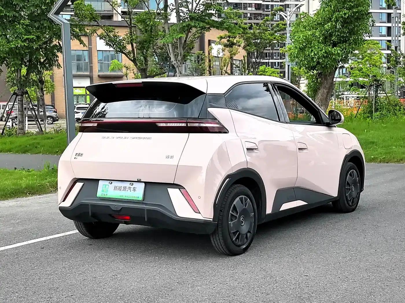 Seagull 2024 Glory Edition 305km/h Vitality Edition — миниатюра 8