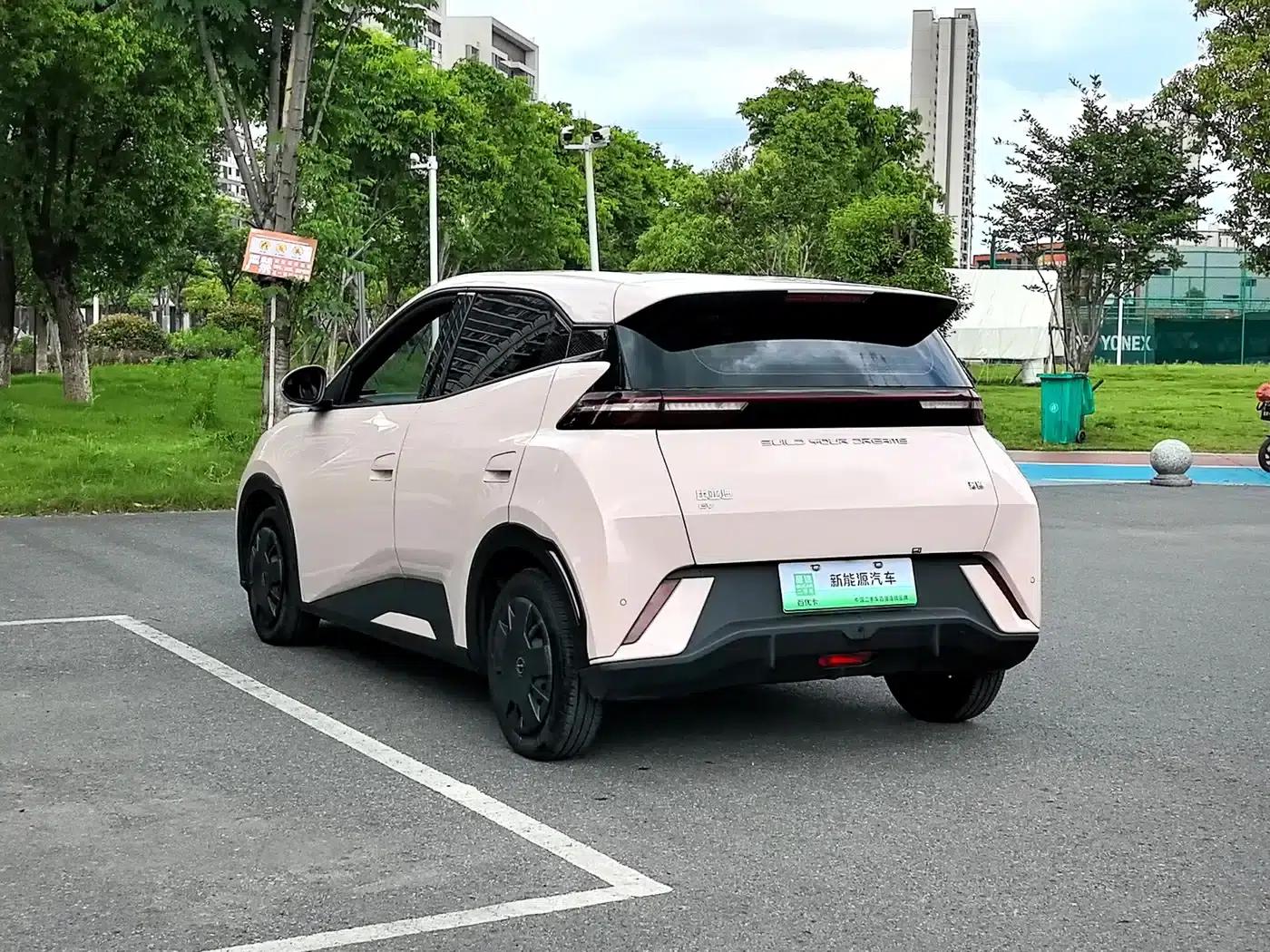 Seagull 2024 Glory Edition 305km/h Vitality Edition — миниатюра 10