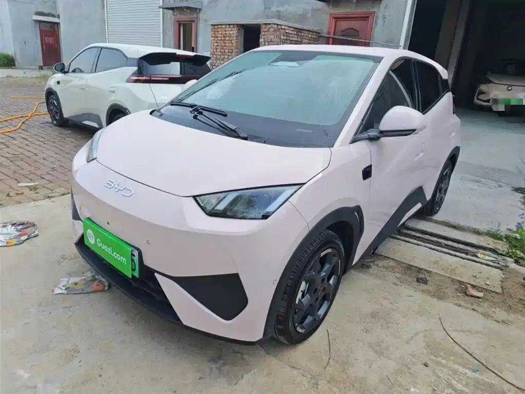 Seagull 2025 Smart Driving Edition 305km Freedom Edition — миниатюра 2