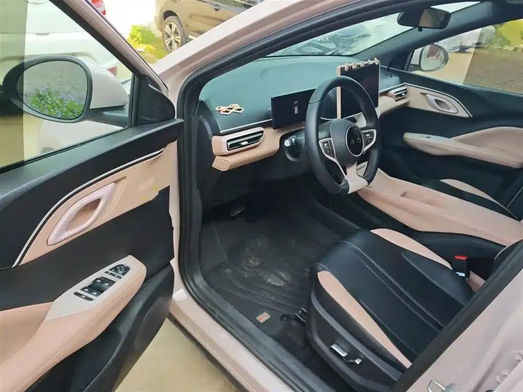 Seagull 2025 Smart Driving Edition 305km Freedom Edition — миниатюра 12