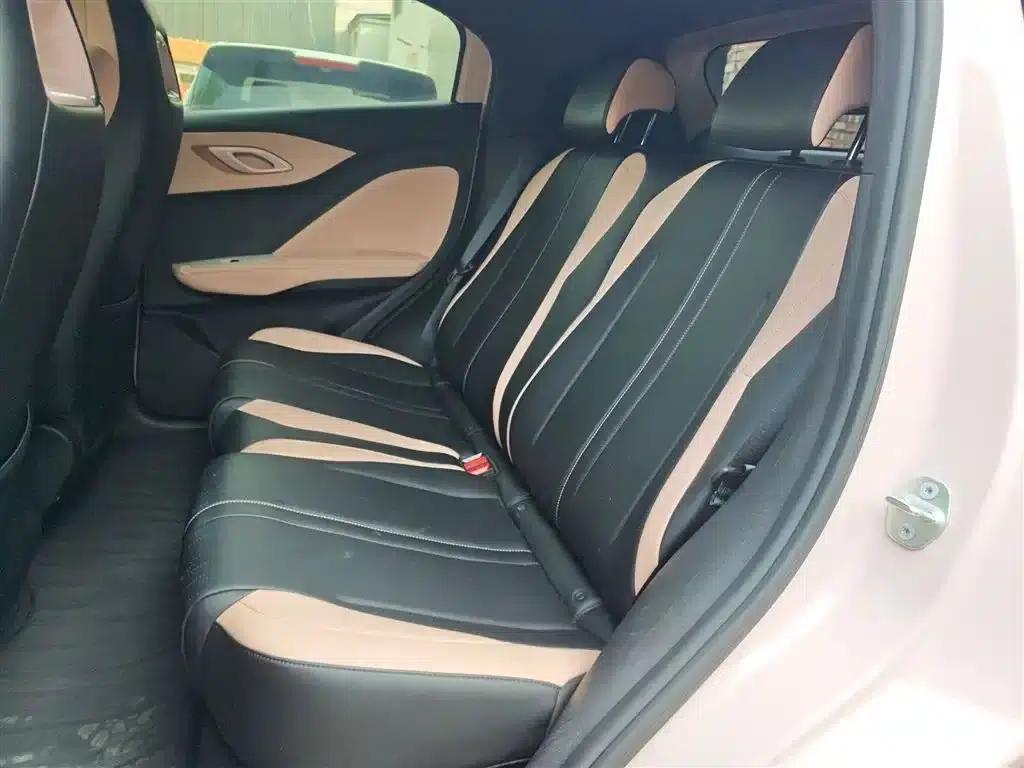 Seagull 2025 Smart Driving Edition 305km Freedom Edition — миниатюра 13