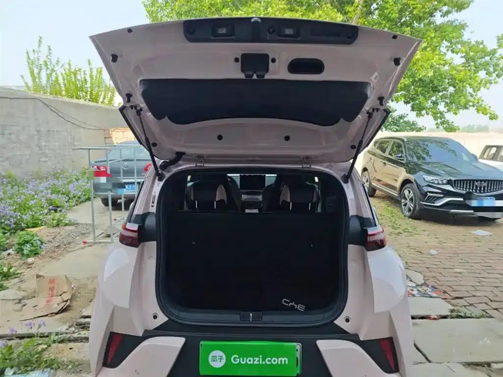 Seagull 2025 Smart Driving Edition 305km Freedom Edition — миниатюра 15