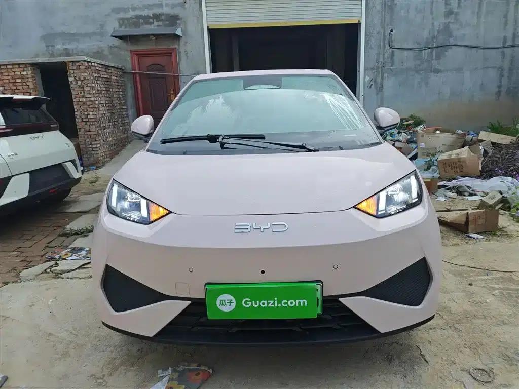 Seagull 2025 Smart Driving Edition 305km Freedom Edition — миниатюра 3
