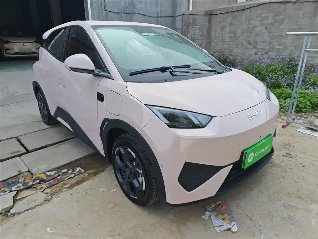 Seagull 2025 Smart Driving Edition 305km Freedom Edition — миниатюра 22