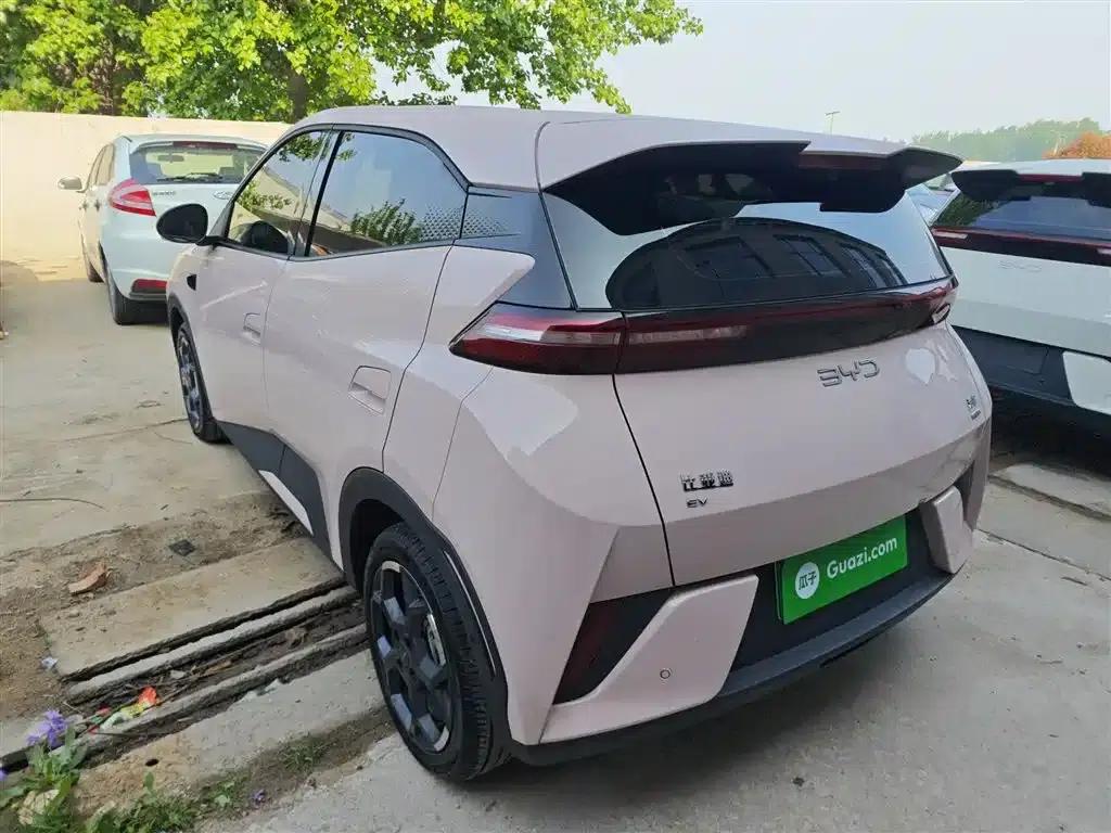 Seagull 2025 Smart Driving Edition 305km Freedom Edition — миниатюра 23