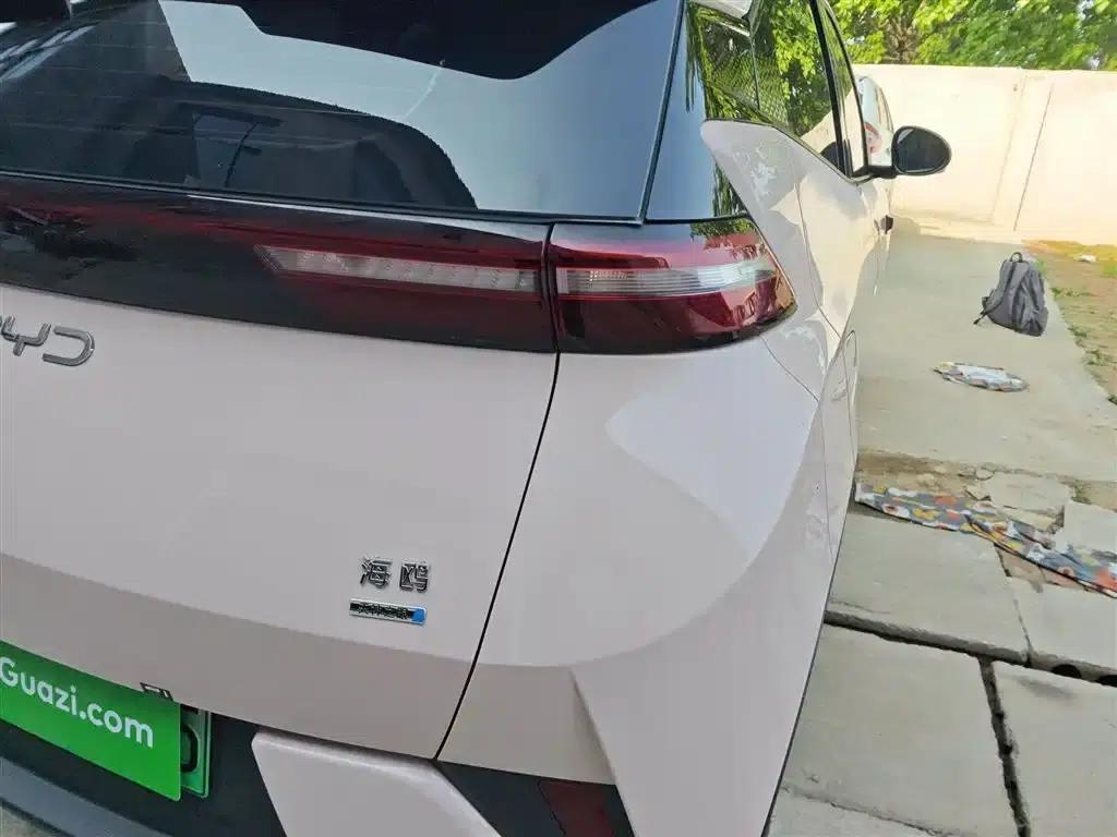 Seagull 2025 Smart Driving Edition 305km Freedom Edition — миниатюра 24