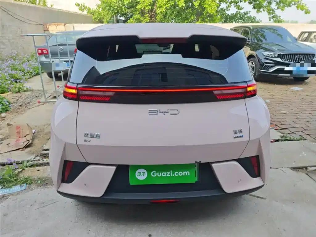 Seagull 2025 Smart Driving Edition 305km Freedom Edition — миниатюра 4