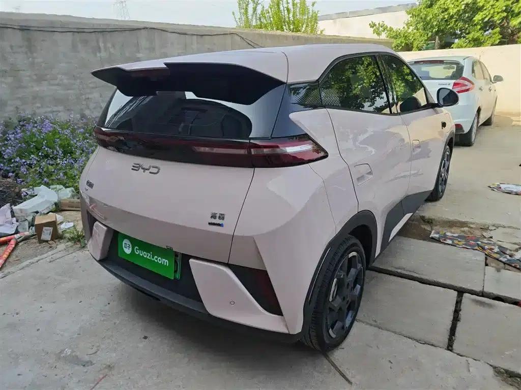 Seagull 2025 Smart Driving Edition 305km Freedom Edition — миниатюра 5