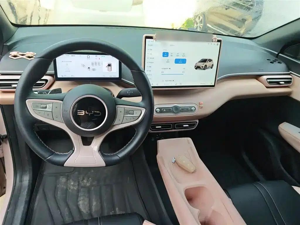 Seagull 2025 Smart Driving Edition 305km Freedom Edition — миниатюра 6