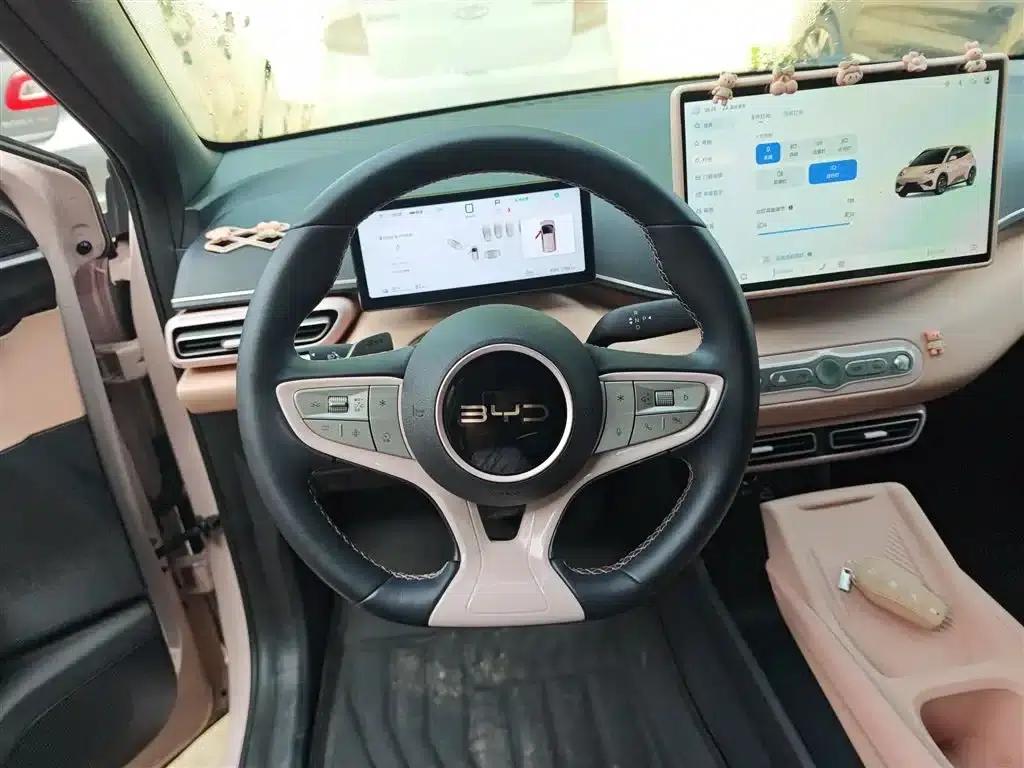 Seagull 2025 Smart Driving Edition 305km Freedom Edition — миниатюра 7