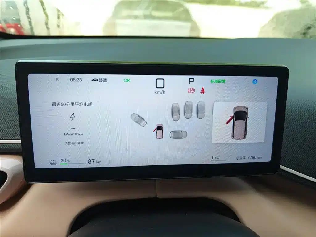 Seagull 2025 Smart Driving Edition 305km Freedom Edition — миниатюра 8