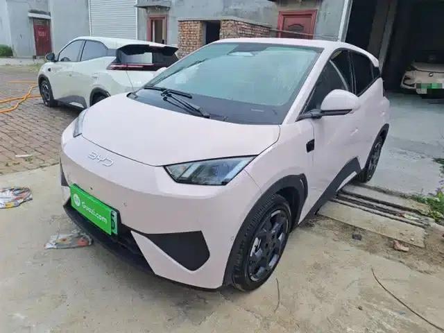 Seagull 2025 Smart Driving Edition 305km Freedom Edition