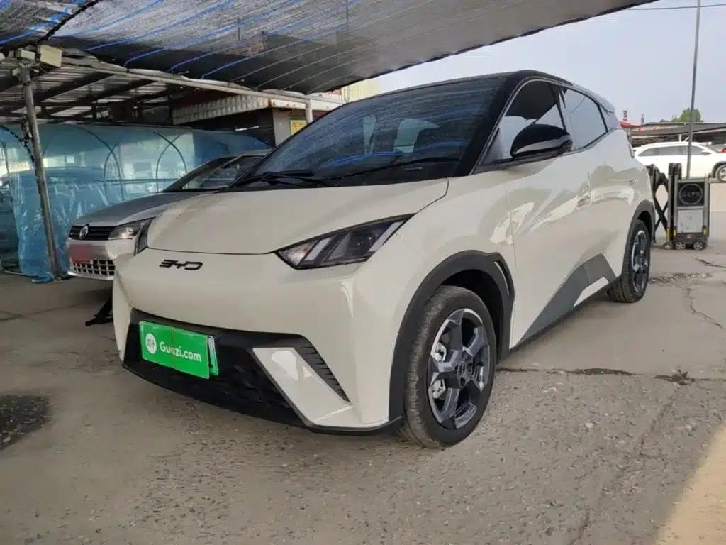 Seagull 2023 Freedom Edition — миниатюра 2