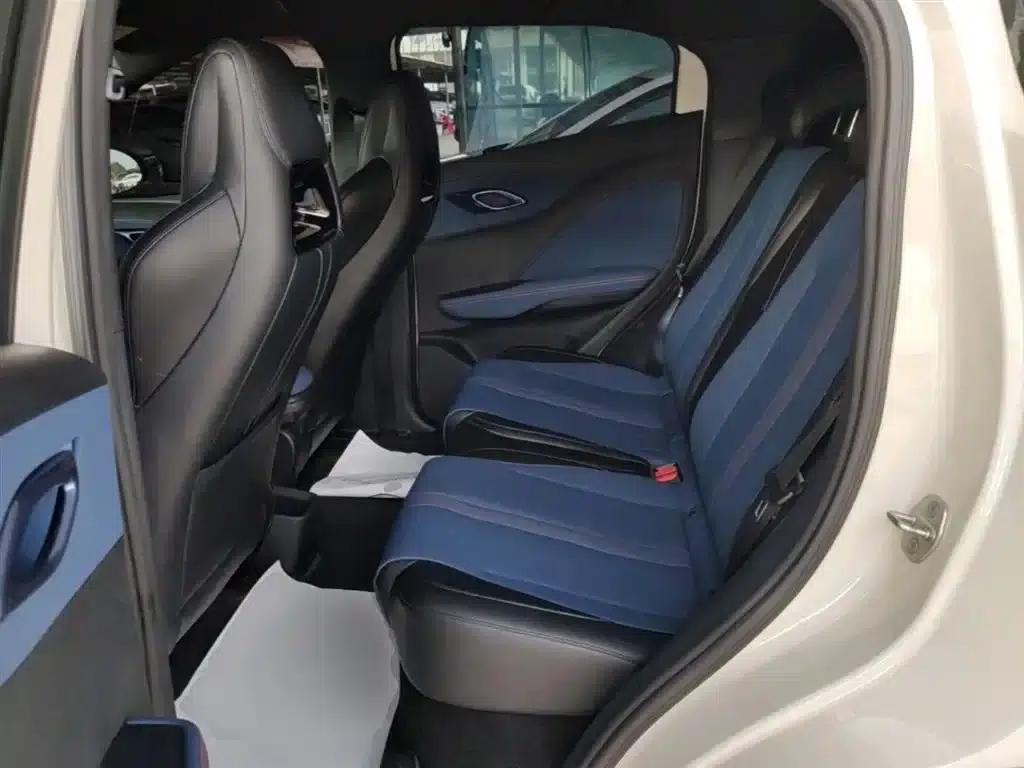 Seagull 2023 Freedom Edition — миниатюра 17