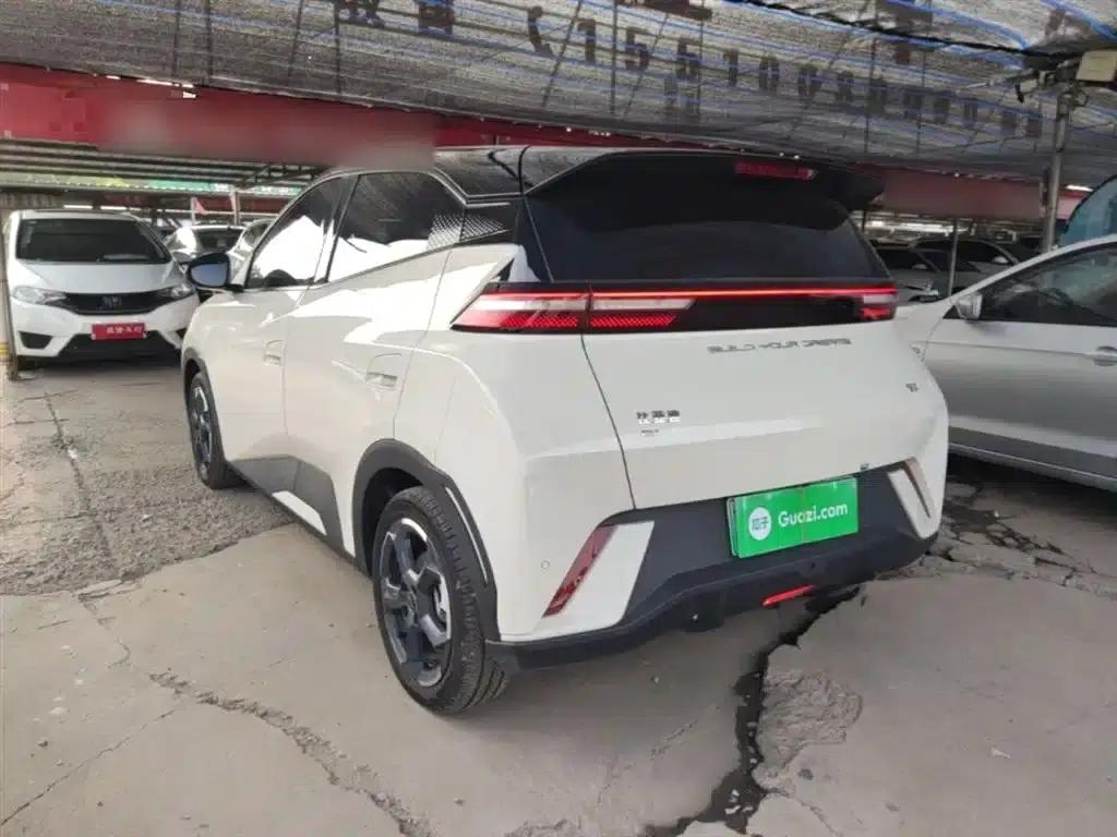 Seagull 2023 Freedom Edition — миниатюра 5