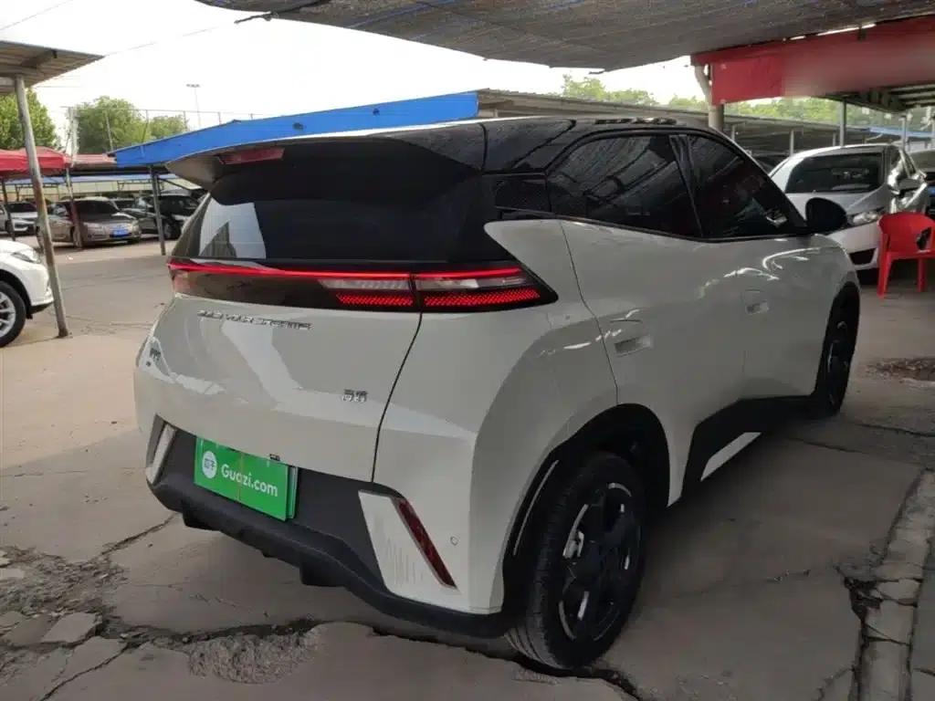 Seagull 2023 Freedom Edition — миниатюра 7