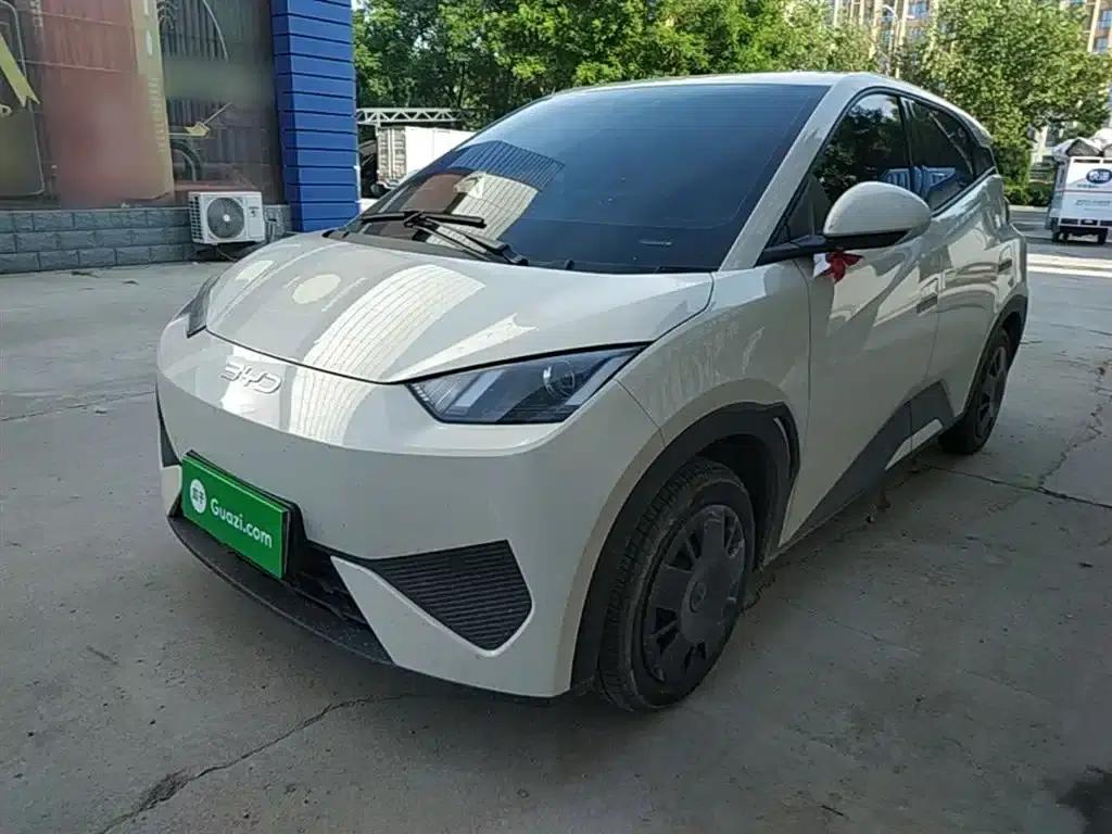 Seagull 2025 Smart Driving Edition 305km Vitality Edition — миниатюра 2