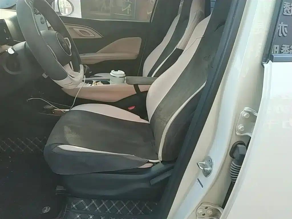 Seagull 2025 Smart Driving Edition 305km Vitality Edition — миниатюра 15