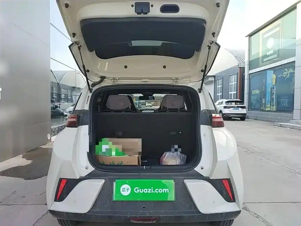 Seagull 2025 Smart Driving Edition 305km Vitality Edition — миниатюра 19
