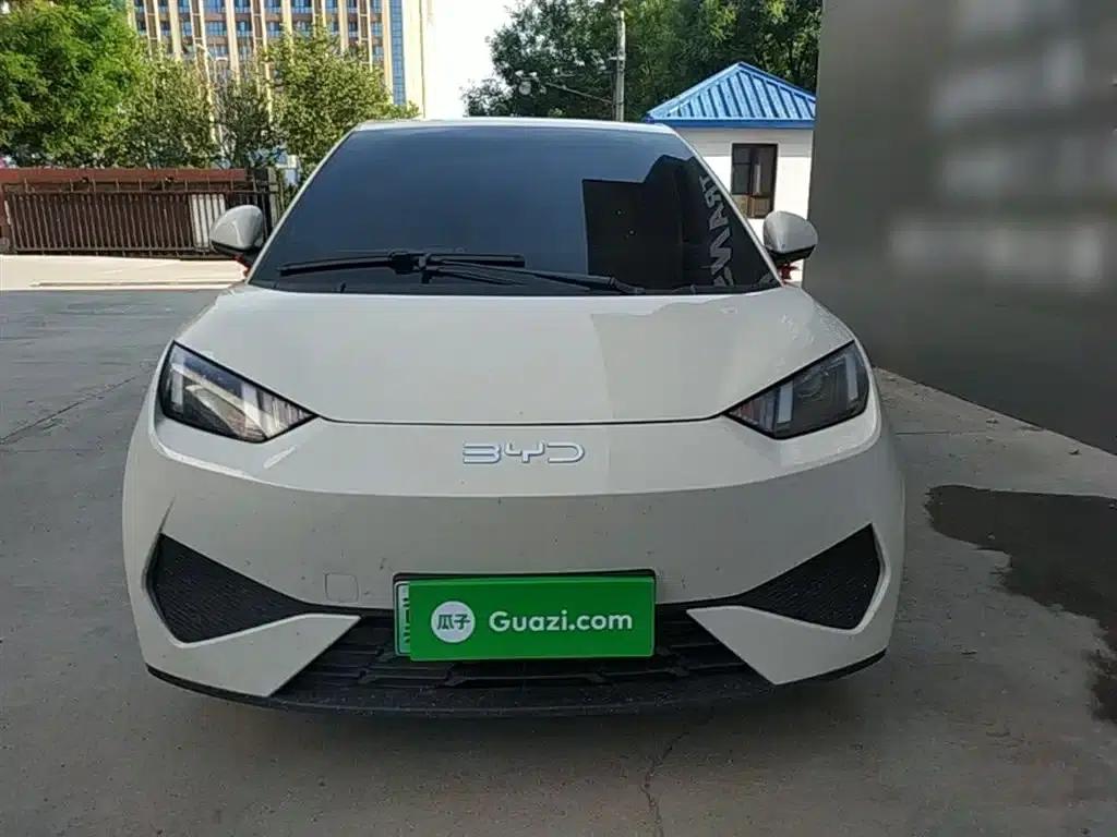 Seagull 2025 Smart Driving Edition 305km Vitality Edition — миниатюра 3