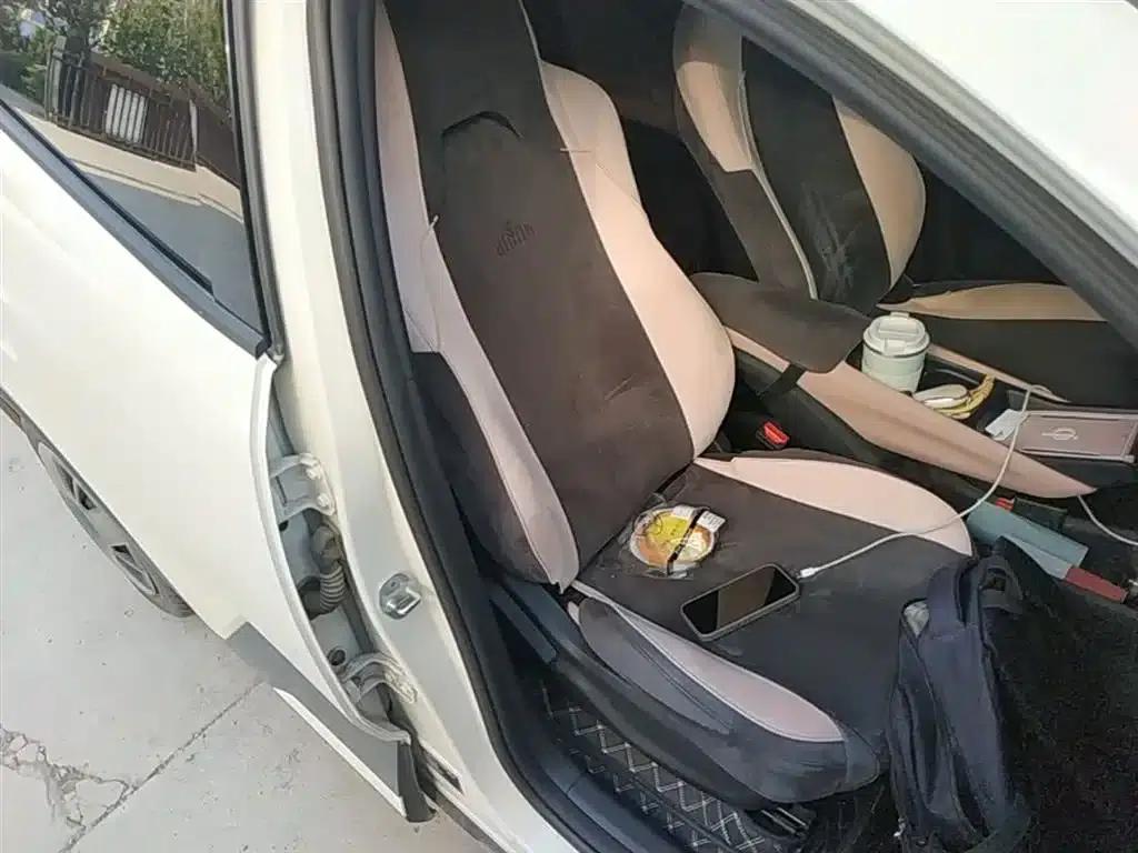Seagull 2025 Smart Driving Edition 305km Vitality Edition — миниатюра 25