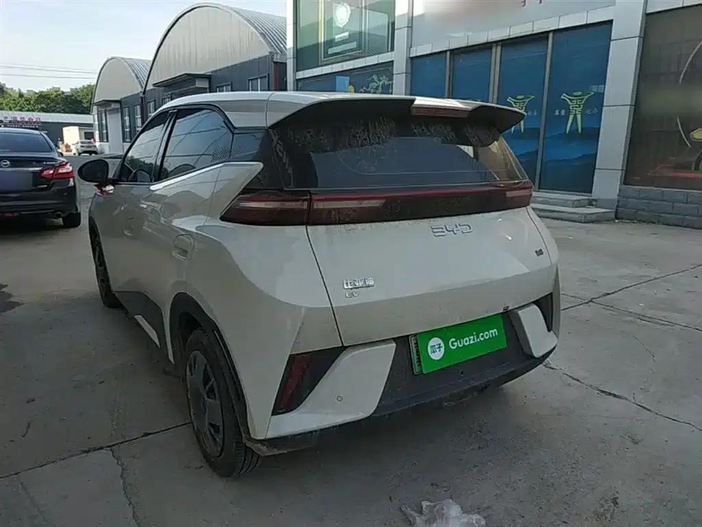 Seagull 2025 Smart Driving Edition 305km Vitality Edition — миниатюра 5