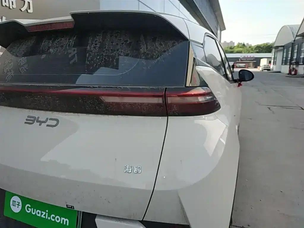 Seagull 2025 Smart Driving Edition 305km Vitality Edition — миниатюра 8