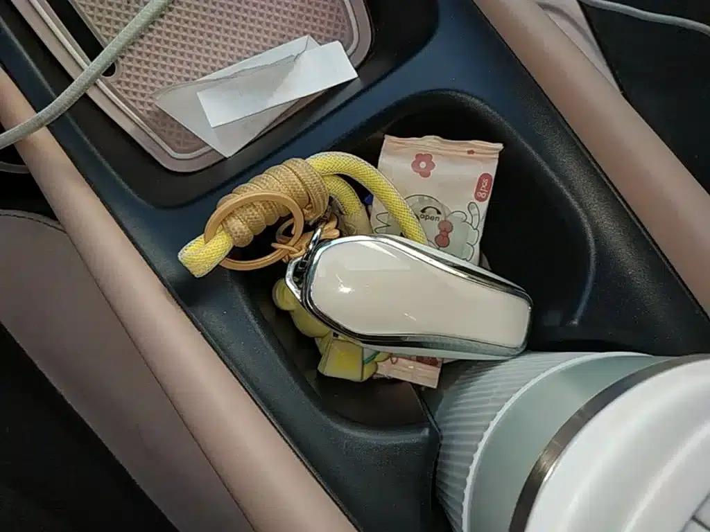 Seagull 2025 Smart Driving Edition 305km Vitality Edition — миниатюра 9